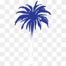 Kygo Palm Tree Records, HD Png Download - kygo logo png