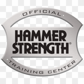 Life Fitness Hammer Strength Logo, HD Png Download - world gym logo png