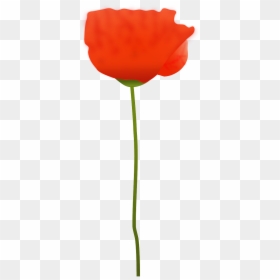 Free Clip Art Puppy Flowers, HD Png Download - red poppy png