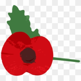 Clip Art, HD Png Download - red poppy png