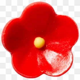 Impatiens, HD Png Download - red poppy png