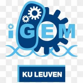 Katholieke Universiteit Leuven, HD Png Download - explore icon png