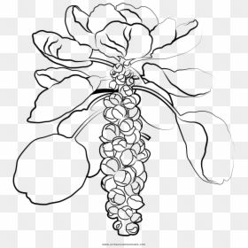 Brussel Sprouts Coloring Page - Line Art, HD Png Download - brussel sprouts png