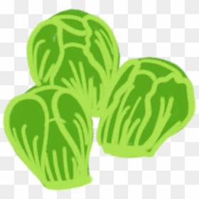 Squash, HD Png Download - brussel sprouts png
