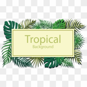 Transparent Tropical Background Clipart - Leaves Background Title, HD Png Download - green box png