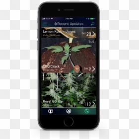 Iphone Image - Smartphone, HD Png Download - bud png