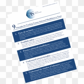 Brochure, HD Png Download - amygdala png