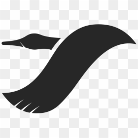Traveloth - Duck, HD Png Download - chicago blackhawks feathers png