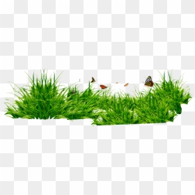 Grass Png, Transparent Png - grass png hd