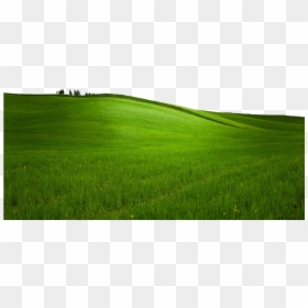 Field, HD Png Download - grass png hd