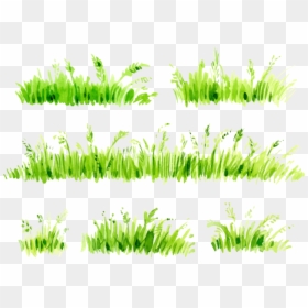 Pasto Watercolor Png, Transparent Png - grass png hd