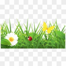 Flower Images Hd Png, Transparent Png - flowers png hd