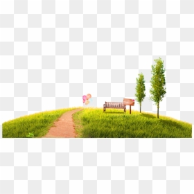 Grass Park Transparent Background, HD Png Download - grass png hd