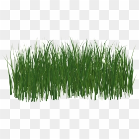 Black Transparent Grass Png, Png Download - grass png hd