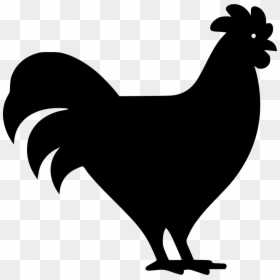 Poultry Icon Png, Transparent Png - broiler chicken png