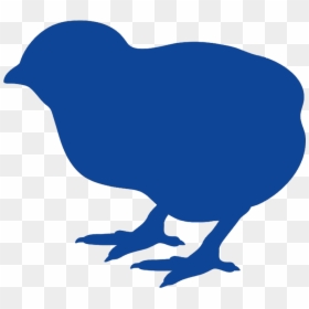 Clip Art, HD Png Download - broiler chicken png