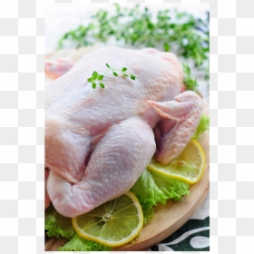 Lemon, HD Png Download - broiler chicken png
