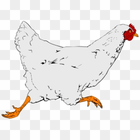 Chicken Clip Art, HD Png Download - broiler chicken png