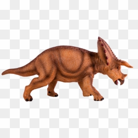 Triceratops Png, Transparent Png - triceratops png