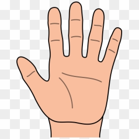 Hand Clipart, HD Png Download - outline png
