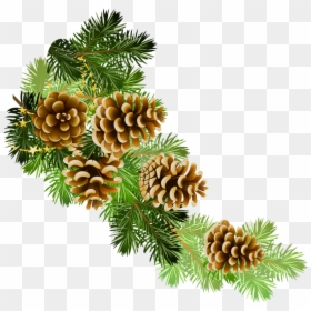 Pine Cone Border Clip Art, HD Png Download - holiday png