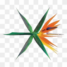 Exo Koko Bop Album, HD Png Download - exo logo png