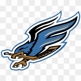 Rochester Falcons, HD Png Download - falcons logo png