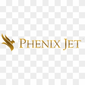 Phenix Jet, HD Png Download - jets logo png