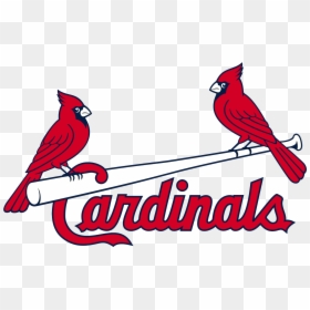 St Louis Cardinals Logo Transparent, HD Png Download - cardinals logo png