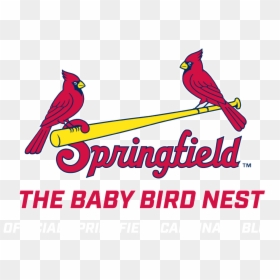 Transparent Springfield Cardinals Logo, HD Png Download - cardinals logo png