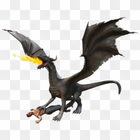 Compare And Contrast Dragons, HD Png Download - dragon claw png