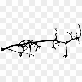 Simple Tree Branch Drawing, HD Png Download - simple tree png