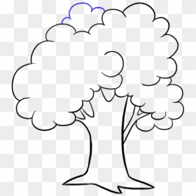 How To Draw A Cartoon Tree Easy Step - Drawing Picture Of Tree, HD Png Download - simple tree png