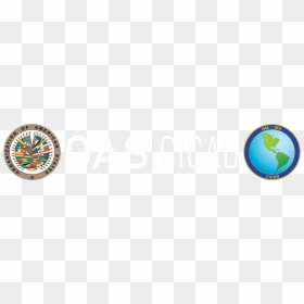 Oas Cicad Logo, HD Png Download - summary icon png