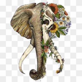 Elephant Face And Skull, HD Png Download - elephant png tumblr