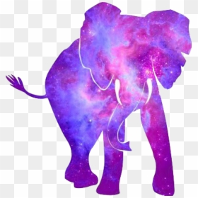 #elephant #margaret #tumblr #galaxy #animal #sweet - Alabama Roll Tide Elephant Silhouette, HD Png Download - elephant png tumblr