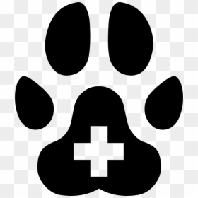 Veterinarian Hospital - Veterinary Medicine, HD Png Download - veterinarian symbol png