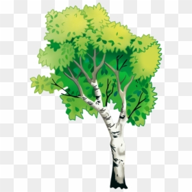 Nature Natural Environment Tree - Nature, HD Png Download - nature.png