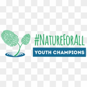 Youth Champions Colour Transparent Background - Cover Charge, HD Png Download - nature.png