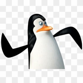 Penguins Of Madagascar Png, Transparent Png - madagascar png