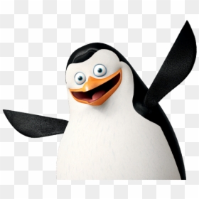 Penguins Of Madagascar Png High Quality Image - Penguins Of Madagascar Transparent, Png Download - madagascar png