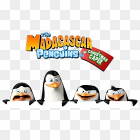 Transparent Penguins Of Madagascar Clipart - Penguins Of Madagascar .png, Png Download - madagascar png