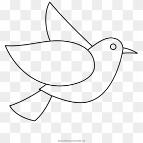 Bird Coloring Page - Sketch, HD Png Download - passarinhos png