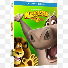Madagascar Escape 2 Africa Dvd, HD Png Download - madagascar png