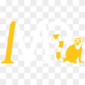 Illustration, HD Png Download - madagascar png