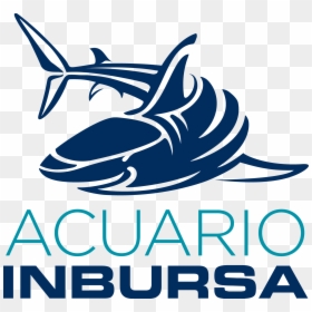 Image Result For Clima Web Logo - Logotipo De Acuario Inbursa, HD Png Download - acuario png