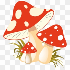 Free Png Mushrooms Konfest - Autumn Mushroom Clipart, Transparent Png - mushroom clipart png