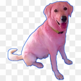 #dog #aesthetic #pink #blue #pinkdog #grunge #tumblr - Clifford The Big Red Dog Irl, HD Png Download - tumblr dog png