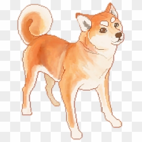 Shiba Inu Art Transparent, HD Png Download - tumblr dog png