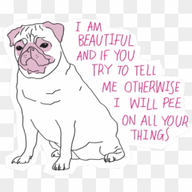 Pug, Dog, And Quotes Image - Am Beautiful And If You Tell Me Otherwise I Will Pee, HD Png Download - tumblr dog png